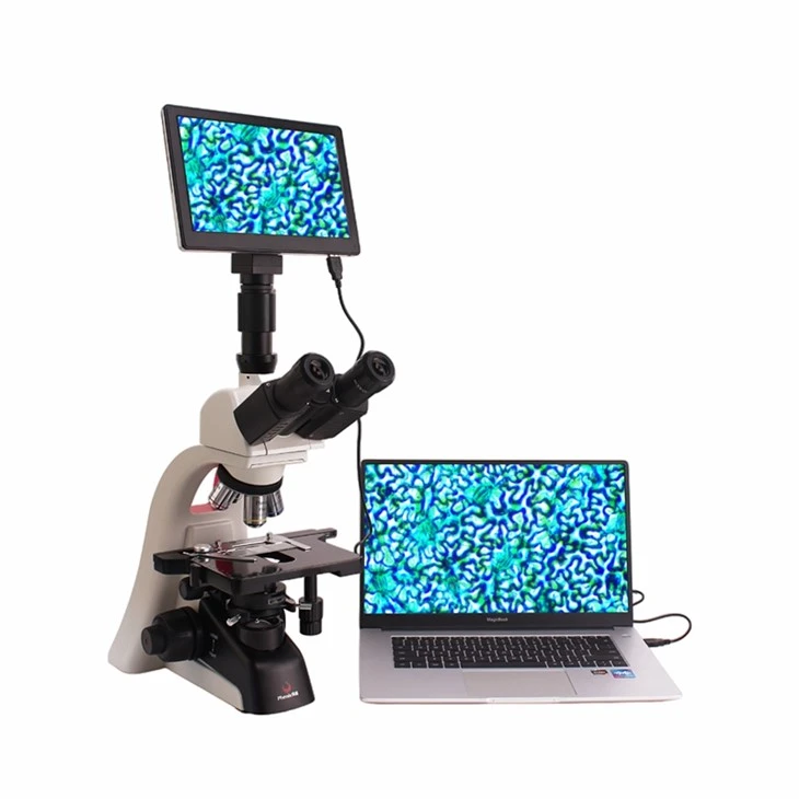 Microscope LCD Display