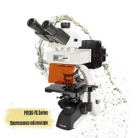 Изправен флуоресцентен микроскоп